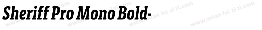Sheriff Pro Mono Bold字体转换